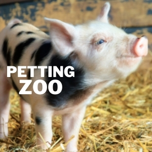 Petting Zoo 1 